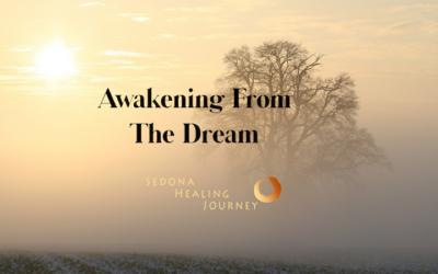 Awakening “From’ The Dream.