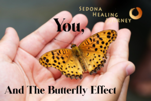 Butterfly sitting in the open hands of a person, peace, calm, trust.