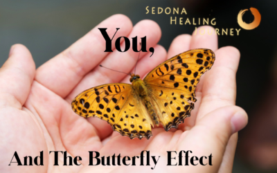 You And The Butterfly Effect
